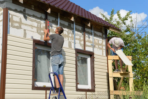 Professional Siding in Walls, MS