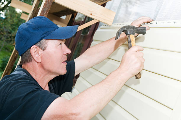 Best Custom Trim and Detailing for Siding  in Walls, MS