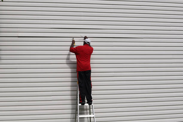 Best Wood Siding Installation  in Walls, MS
