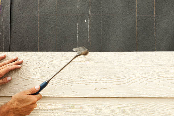 Best Stone Veneer Siding  in Walls, MS